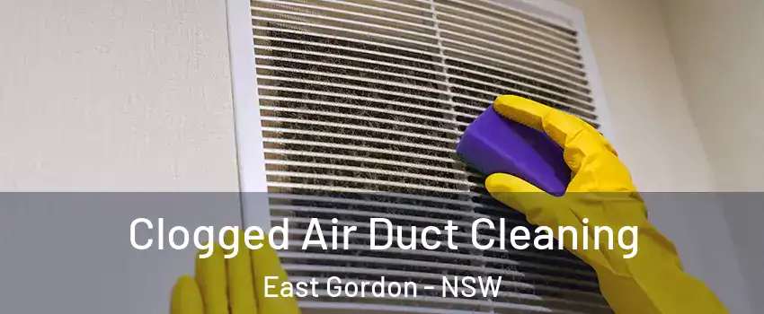 Clogged Air Duct Cleaning East Gordon - NSW