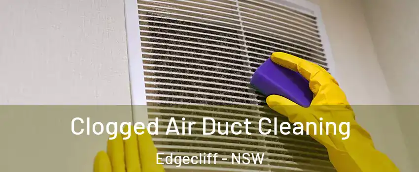Clogged Air Duct Cleaning Edgecliff - NSW