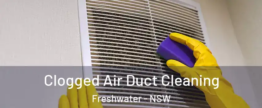 Clogged Air Duct Cleaning Freshwater - NSW