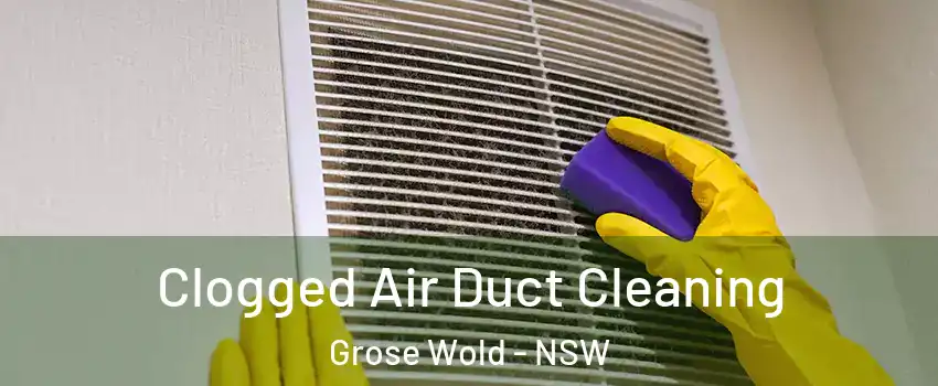 Clogged Air Duct Cleaning Grose Wold - NSW