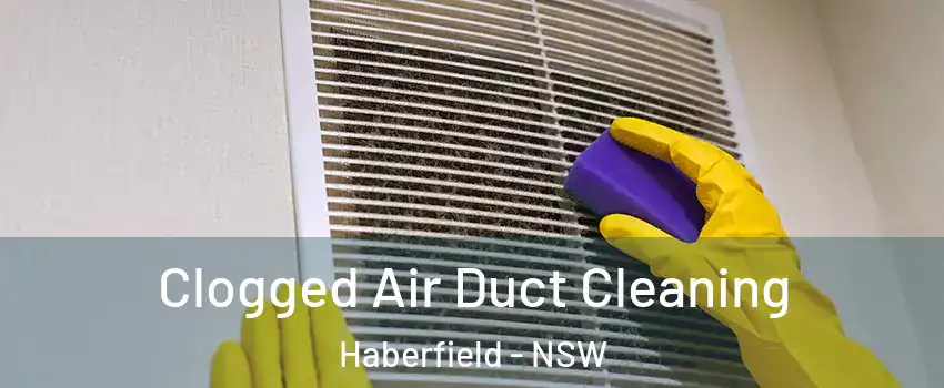 Clogged Air Duct Cleaning Haberfield - NSW