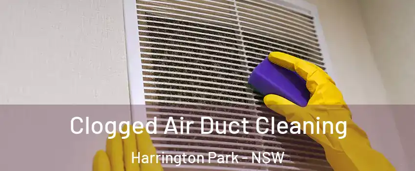 Clogged Air Duct Cleaning Harrington Park - NSW