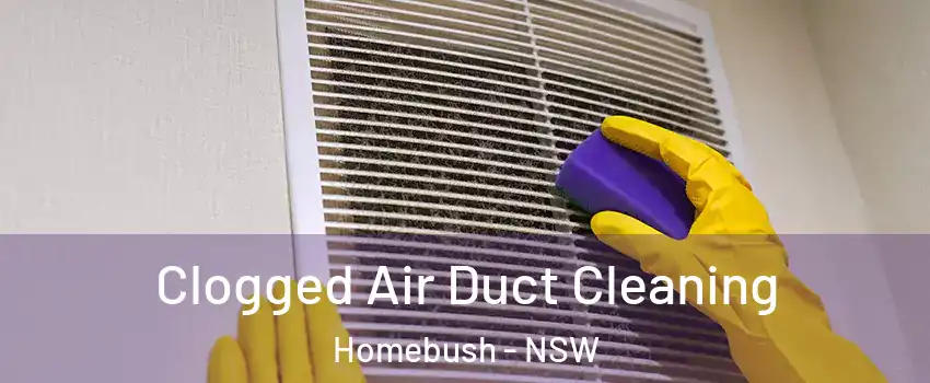 Clogged Air Duct Cleaning Homebush - NSW