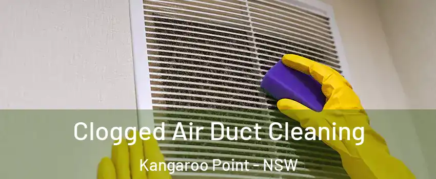 Clogged Air Duct Cleaning Kangaroo Point - NSW