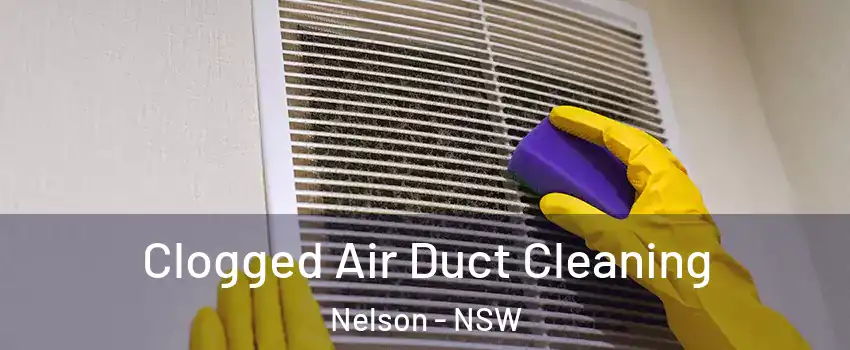 Clogged Air Duct Cleaning Nelson - NSW