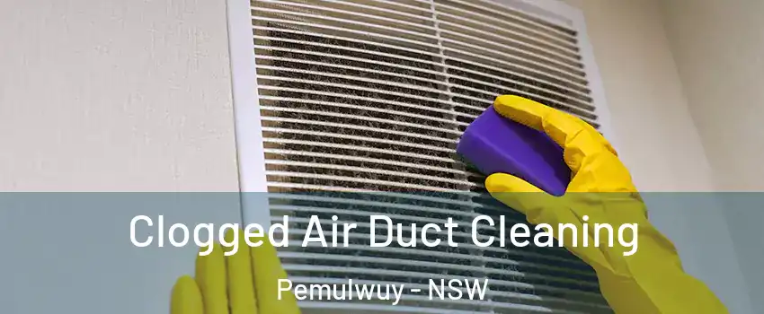 Clogged Air Duct Cleaning Pemulwuy - NSW