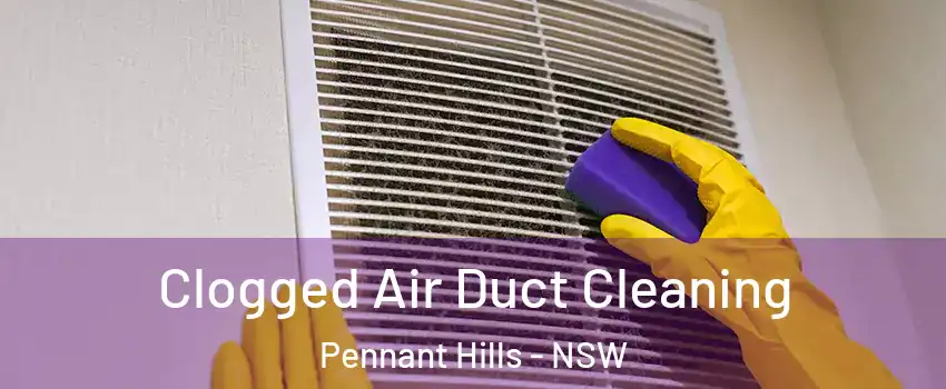 Clogged Air Duct Cleaning Pennant Hills - NSW