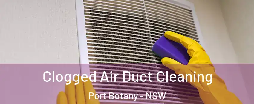 Clogged Air Duct Cleaning Port Botany - NSW