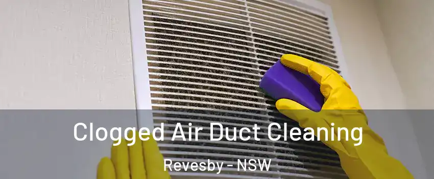 Clogged Air Duct Cleaning Revesby - NSW