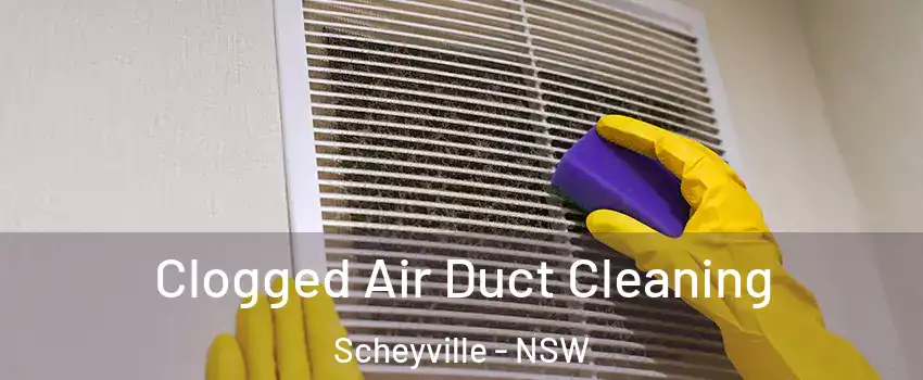 Clogged Air Duct Cleaning Scheyville - NSW