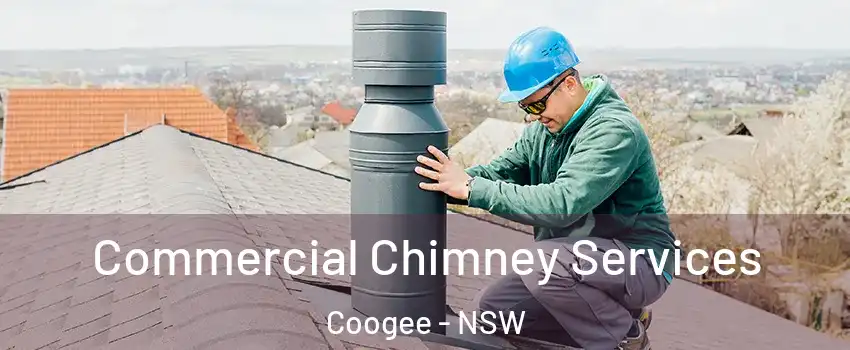  Commercial Chimney Services Coogee - NSW