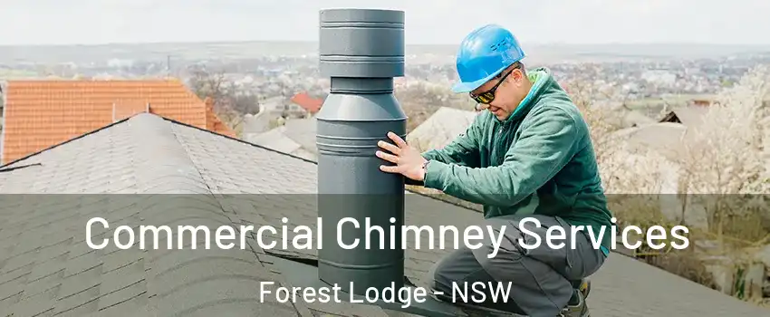 Commercial Chimney Services Forest Lodge - NSW