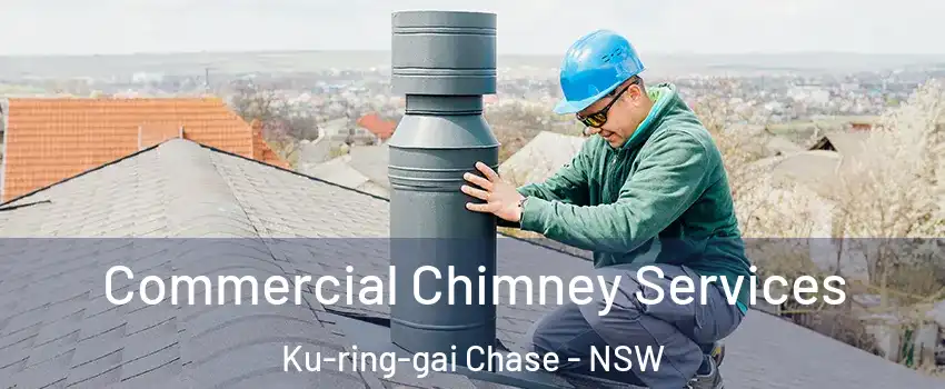 Commercial Chimney Services Ku-ring-gai Chase - NSW