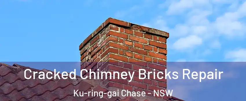 Cracked Chimney Bricks Repair Ku-ring-gai Chase - NSW
