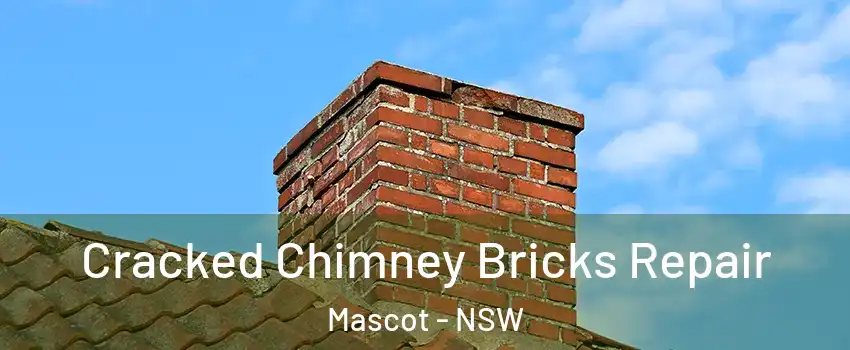 Cracked Chimney Bricks Repair Mascot - NSW