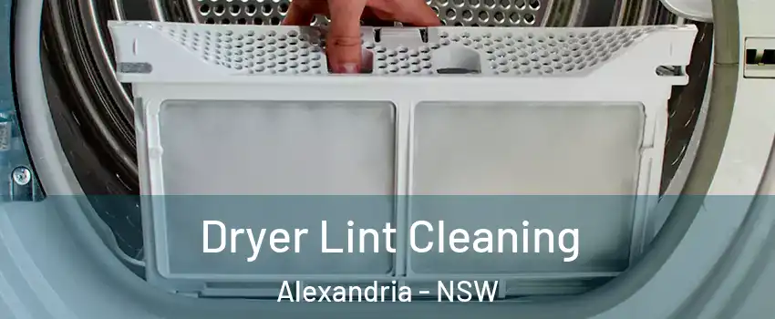 Dryer Lint Cleaning Alexandria - NSW