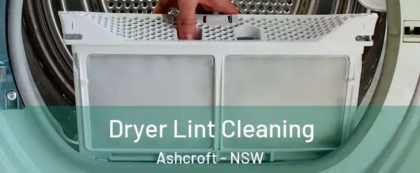 Dryer Lint Cleaning Ashcroft - NSW