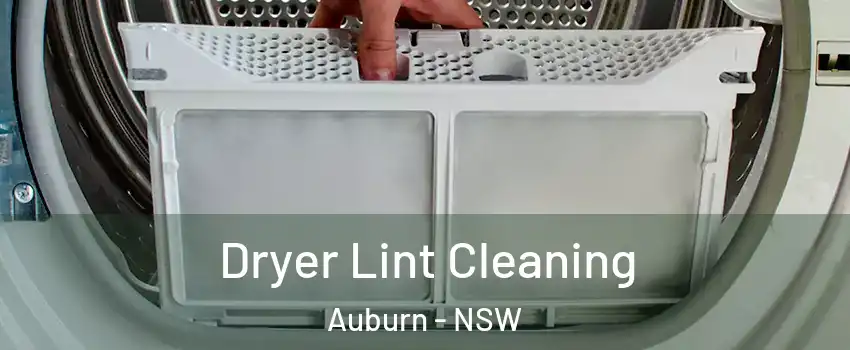 Dryer Lint Cleaning Auburn - NSW