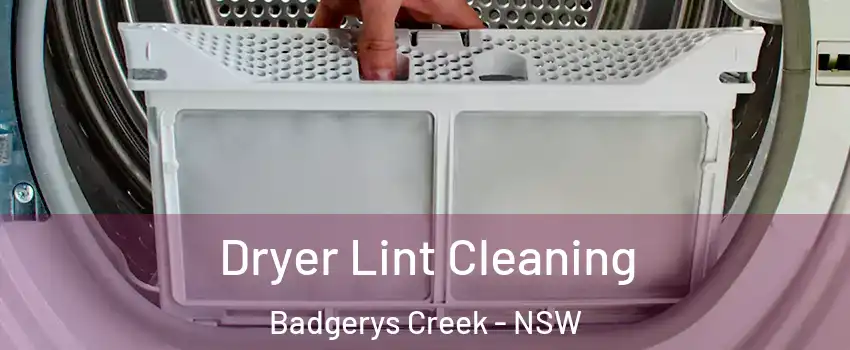 Dryer Lint Cleaning Badgerys Creek - NSW