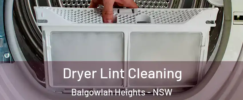 Dryer Lint Cleaning Balgowlah Heights - NSW