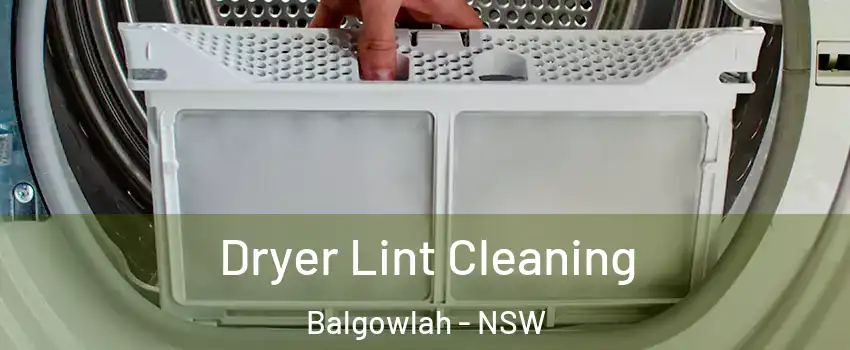  Dryer Lint Cleaning Balgowlah - NSW