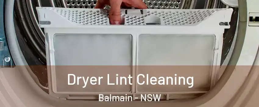 Dryer Lint Cleaning Balmain - NSW