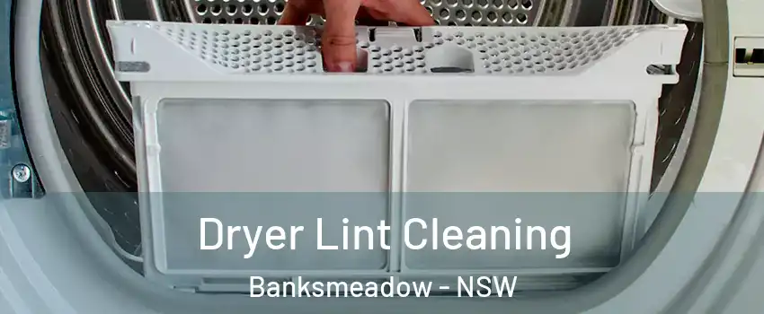 Dryer Lint Cleaning Banksmeadow - NSW