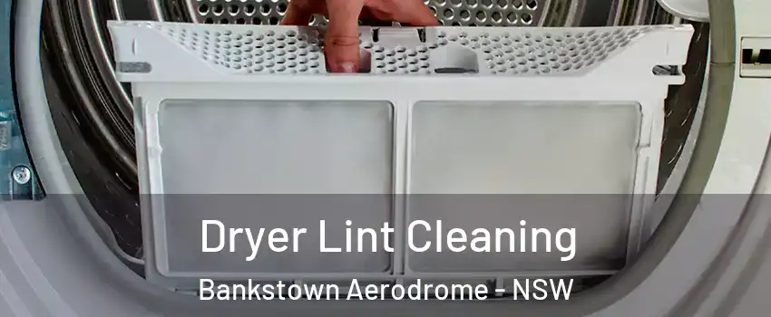Dryer Lint Cleaning Bankstown Aerodrome - NSW