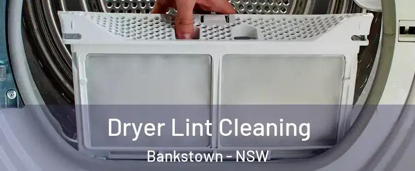 Dryer Lint Cleaning Bankstown - NSW