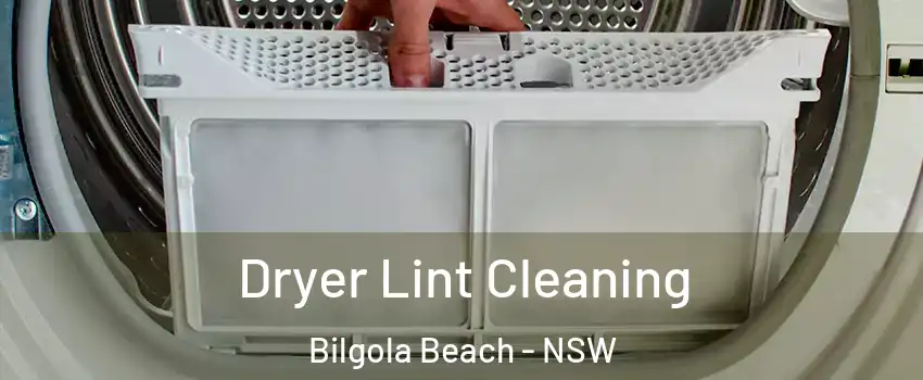 Dryer Lint Cleaning Bilgola Beach - NSW
