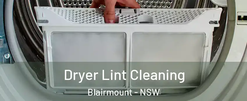 Dryer Lint Cleaning Blairmount - NSW