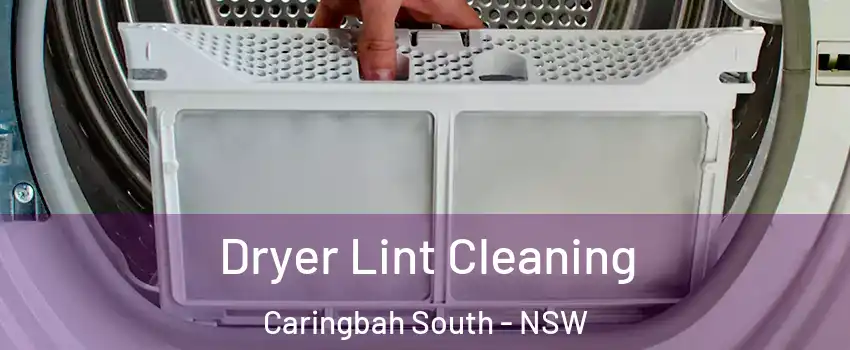 Dryer Lint Cleaning Caringbah South - NSW