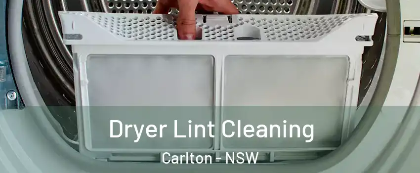 Dryer Lint Cleaning Carlton - NSW