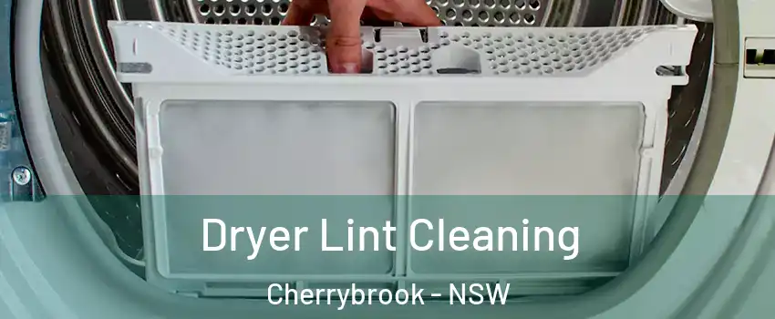 Dryer Lint Cleaning Cherrybrook - NSW