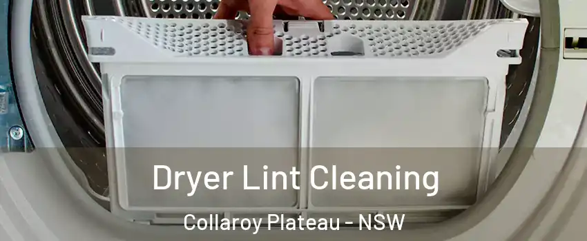  Dryer Lint Cleaning Collaroy Plateau - NSW