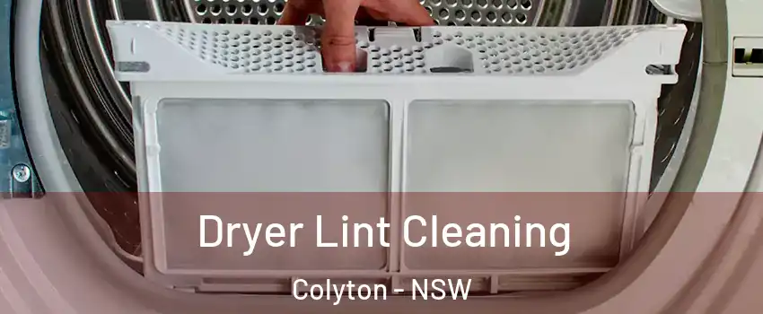 Dryer Lint Cleaning Colyton - NSW