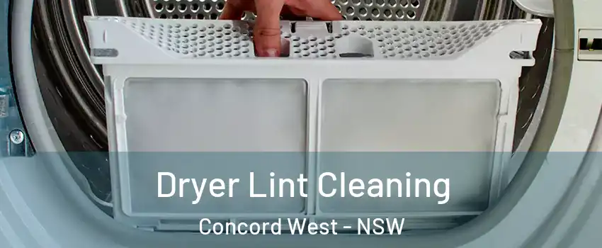 Dryer Lint Cleaning Concord West - NSW