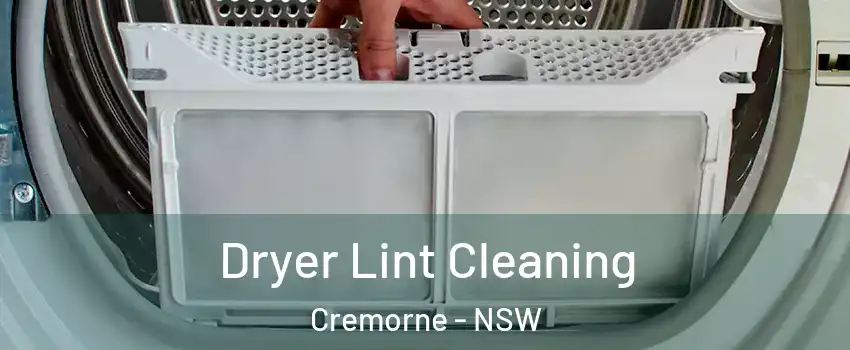 Dryer Lint Cleaning Cremorne - NSW
