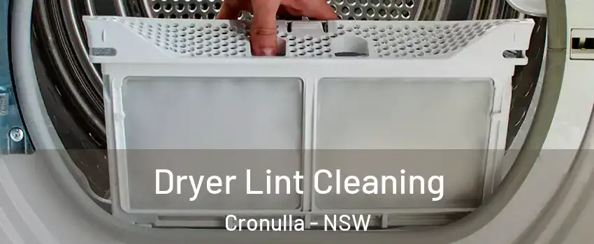 Dryer Lint Cleaning Cronulla - NSW