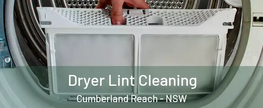 Dryer Lint Cleaning Cumberland Reach - NSW