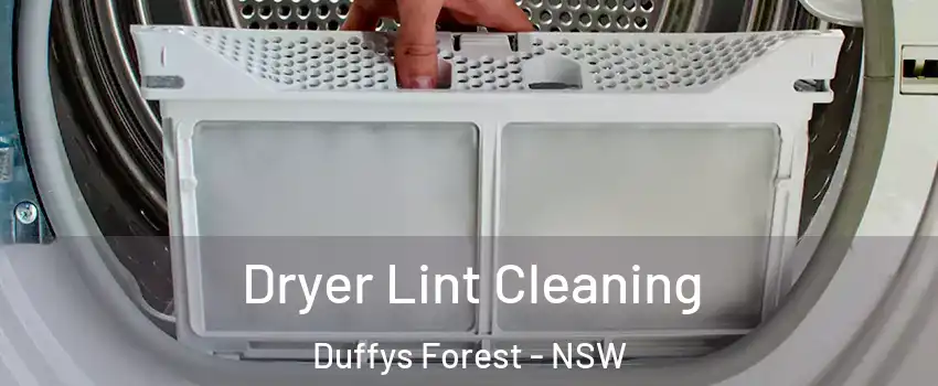 Dryer Lint Cleaning Duffys Forest - NSW