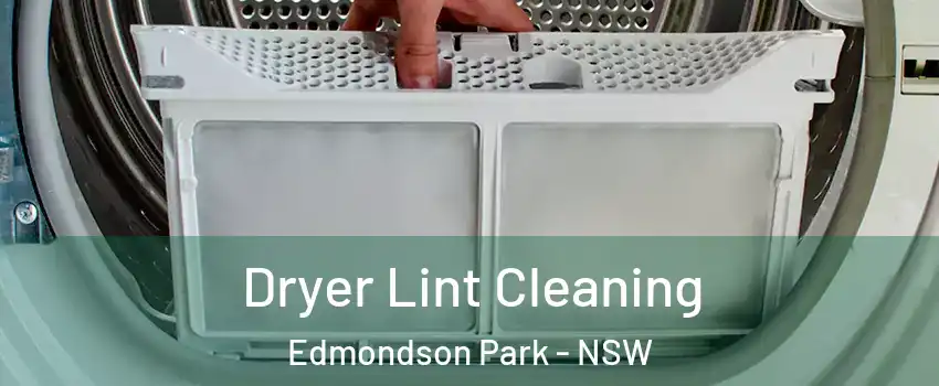 Dryer Lint Cleaning Edmondson Park - NSW