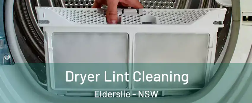 Dryer Lint Cleaning Elderslie - NSW