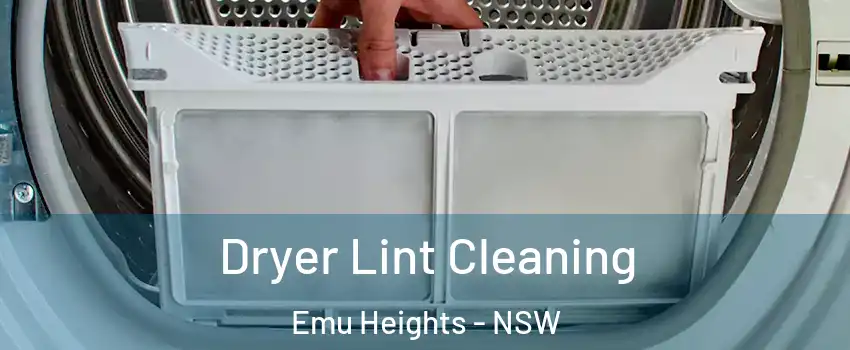 Dryer Lint Cleaning Emu Heights - NSW