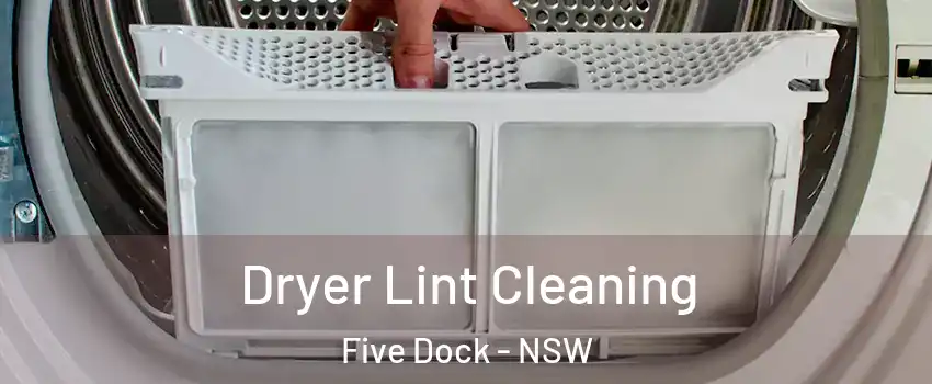 Dryer Lint Cleaning Five Dock - NSW