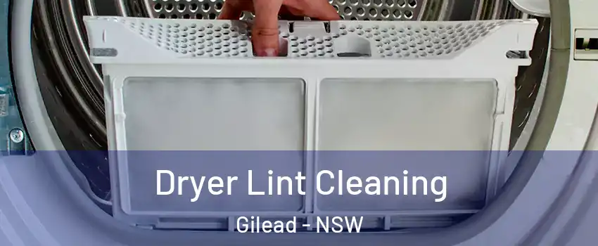 Dryer Lint Cleaning Gilead - NSW