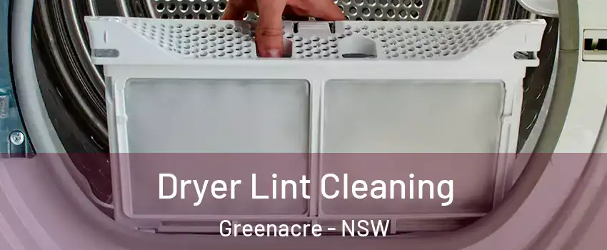 Dryer Lint Cleaning Greenacre - NSW