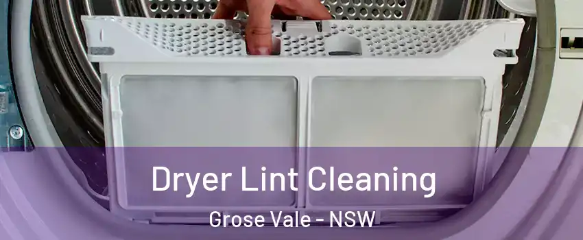 Dryer Lint Cleaning Grose Vale - NSW
