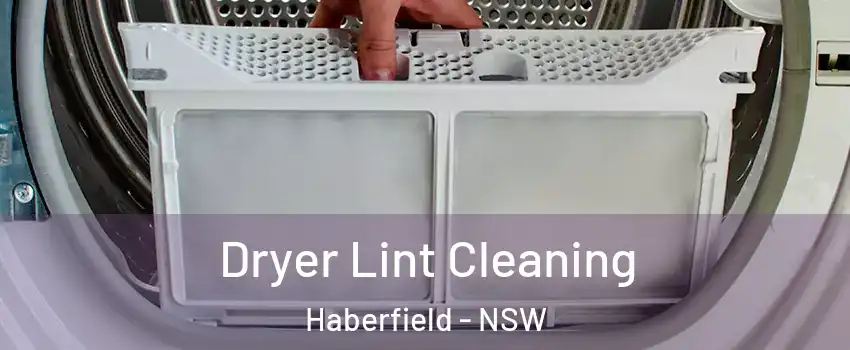 Dryer Lint Cleaning Haberfield - NSW