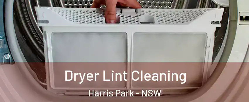 Dryer Lint Cleaning Harris Park - NSW